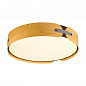 Потолочный светодиодный светильник Sonex Avra Coraggio 7721/120L