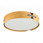 Потолочный светодиодный светильник Sonex Avra Coraggio 7721/120L