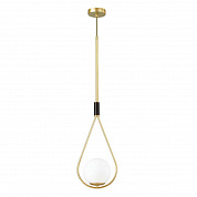 Подвесной светильник Odeon Light Pendant Flari 4810/1