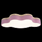 Потолочный светодиодный светильник Loft IT Axel 10005/30 pink