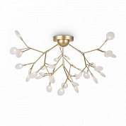 Потолочная люстра Freya Florencia FR5049CL-36G