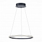 Подвесной светодиодный светильник ST Luce ST604.443.22