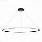 Подвесной светодиодный светильник ST Luce ST604.443.46