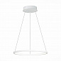Подвесной светодиодный светильник ST Luce ST603.543.22