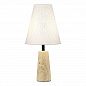 Настольная лампа ST Luce Earthy SL1194.404.01