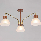 Потолочный светильник ILLUMICO IL0286-3C-79 BR