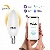 Лампа светодиодная диммируемая Gauss Smart Home E14 5W 2700K матовая 1100112
