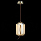 Подвесной светодиодный светильник ST Luce Ozzio SL6108.323.01
