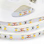 Светодиодная лента OGM 19,6W/m 60LED/m 5630SMD теплый белый 5M LSE-063