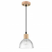 Светильник подвесной Lumion Suspentioni 8055/1A