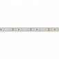 Светодиодная влагозащищенная лента Arlight 4,8W/m 60LED/m 2835SMD теплый белый 5M 021101(2)