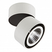 Потолочный светодиодный светильник Lightstar Forte Muro 213850