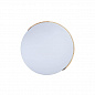 Потолочный светодиодный светильник Loft IT Axel 10004/36 white