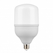 Лампа светодиодная Gauss E27 50W 6500K матовая 63235
