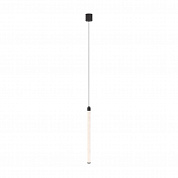 Подвесной светильник Maytoni Ray P022PL-L20B3K