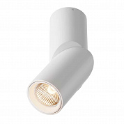 Светодиодный спот Maytoni Dafne C027CL-L10W