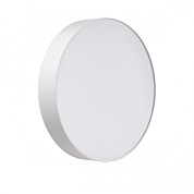 Настенно-потолочный светильник Sonex BASICA 7779/DLN