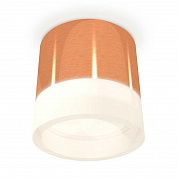 Комплект накладного светильника Ambrella light Techno Spot XS (C8122, N8401) XS8122010