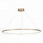 Подвесной светодиодный светильник ST Luce ST603.243.57