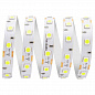 Светодиодная влагозащищенная лента Apeyron 14,4W/m 60LED/m 5050SMD холодный белый 5M 00-73