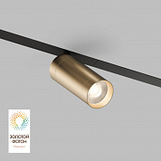 Трековый светодиодный светильник Denkirs Smart Spot DK8020-BG