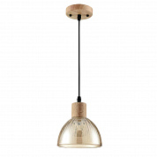 Светильник подвесной Lumion Suspentioni 8054/1A