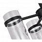 Подвесная люстра ST Luce Bichero SL334.403.04