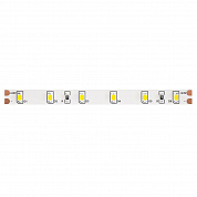 Светодиодная лента Maytoni Technical 4,8W/m 60LED/m 2835SMD дневной белый 5M 10137