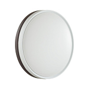 Настенно-потолочный светильник Sonex NOHAVA BROWN 7668/ELN