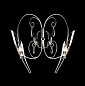 Бра Lightstar Scarabeo 755624
