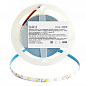 Светодиодная лента Saffit 6W/m 60LED/m 2835SMD дневной белый 5М SST01 55238