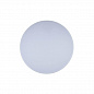Потолочный светодиодный светильник Loft IT Axel 10002/48 white