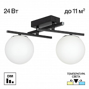 Потолочная светодиодная люстра Citilux Dorsy CL223122