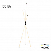Торшер Citilux Lucia CL217961
