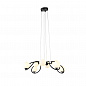 Подвесная люстра ST Luce Legatezza SL1502.403.08