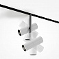 Трековый светодиодный светильник Maytoni Technical Magnetic Exility Elti Duo TR005-4-2X12W-DS-BW