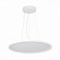 Подвесной светодиодный светильник ST Luce ST602.543.56