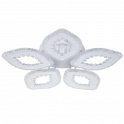 Потолочная светодиодная люстра Escada Dew 10271/5LED