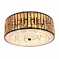 Потолочный светильник Citilux Гермес CL331171