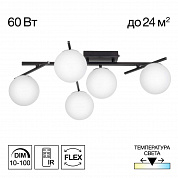 Потолочная светодиодная люстра Citilux Dorsy CL223152