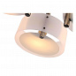 Потолочная люстра Evoluce Foresta SL483.352.03