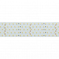 Светодиодная лента Arlight 36W/m 350LED/m 2835SMD дневной белый 2,5M 019081(2)