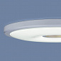 Встраиваемый светодиодный светильник Elektrostandard 9912 LED 6+4W WH белый a043963