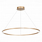 Подвесной светодиодный светильник ST Luce ST605.243.46