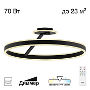 Потолочная светодиодная люстра Citilux Дуэт CL719761