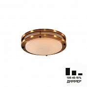 Потолочный светодиодный светильник Citilux Бостон CL709203N