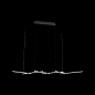 Подвесной светодиодный светильник ST Luce Basoni SL394.403.06