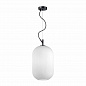 Подвесной светильник Odeon Light Pendant Roofi 4752/1