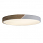 Потолочный светодиодный светильник Loft IT Axel 10004/36 white
