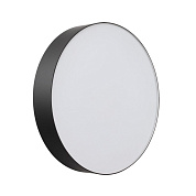 Настенно-потолочный светильник Sonex BASICA 7780/DLN